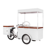 2020 New Mobile Electric Ice Cream Cargo Bike With High Capacity Freezer for Sell Cold Drinks Such As Cola Beer Adult Tricycle