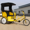 Cheap Pedicab Battery Rickshaw Price Taxi Bike for Factory Direct Sale