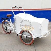 Electric Adult 3 Wheels Cargo Bike Children Transport Tricycle Mobile Snack Food Cart for Sale
