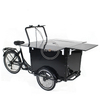 Foldable Europe Mobile Food Car Adult Tricycle Electric Cargo Bike for Sale Coffee Fruit Bread on The Street 