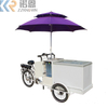 New Electric Stainless Steel Ice Cream Bike Food Cart Cargo Bicycle Customizable for Sale