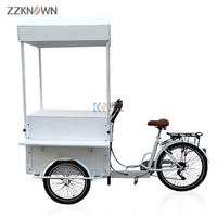 Mobile Business Coffee Bike with Table Electric 3 Wheel Bike for Food Street Vending