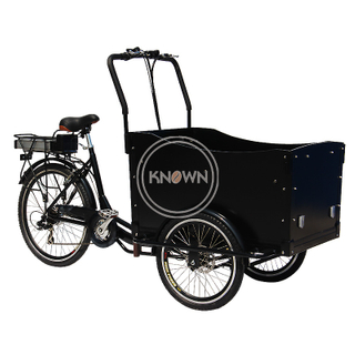 Electric Adult Tricycle Family Cargo Bike Aluminium Frame 6 Gear Speeds Drift Trike for Grocery Shopping And Children Transport