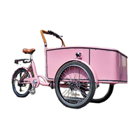 Pedal Electric Cargo Bike Pink Color Dutch Adult Tricycle Street Vending Cart for Sale Customize