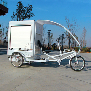 60V 1000W Popular Express Delivery Vehicle 3 Wheel Electric Tricycle for Sale