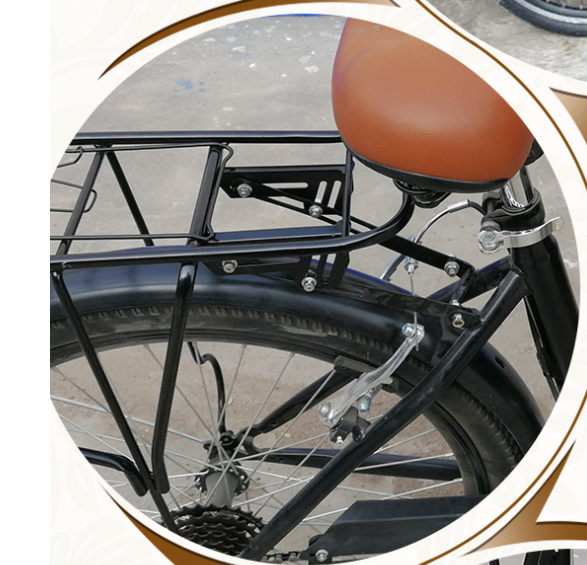 Pedal Electric Cargo Tricycle with CE Certification Adult Cargo Bike for Vending Coffee Snacks