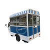 1100W 48V Electric Tricycle Vehicle Three Wheels Cargo Mobile Truck Hot Dog Coffee Food Cart for Sale