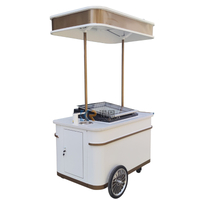 Gelato Ice Cream Push Cart Factory Supply Customized Gelato Display Freezer Hand Push Cart