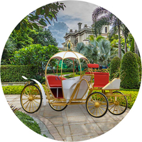 OEM European Style White Electric Pumpkin Carriage Wedding Sightseeing Play Horse Drawn Carriage