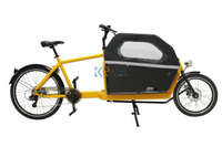 Electric Cargo Trike Or Carry Children with Wood Box And 250W Motor